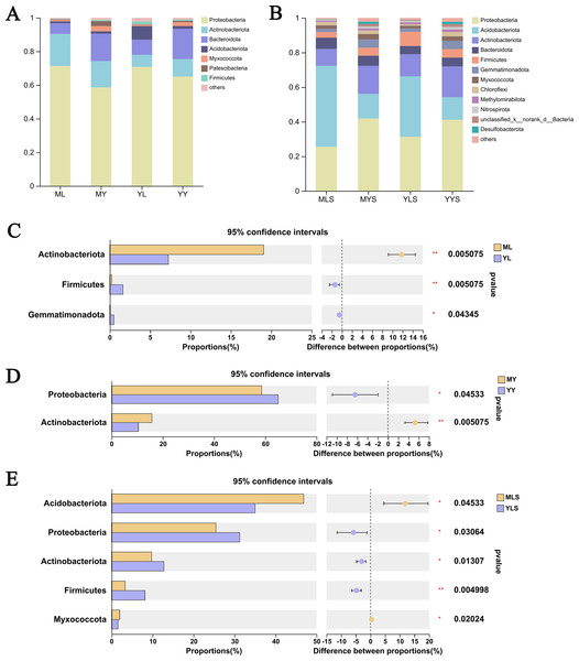 Analysis chart and difference of bacterial community composition at phyla level.