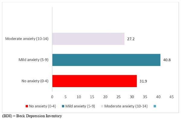 Levels of depression based on BDI scores among the sample (n = 213).