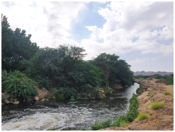The main outlet of the treated wastewater disposal at Wadi Uranah.