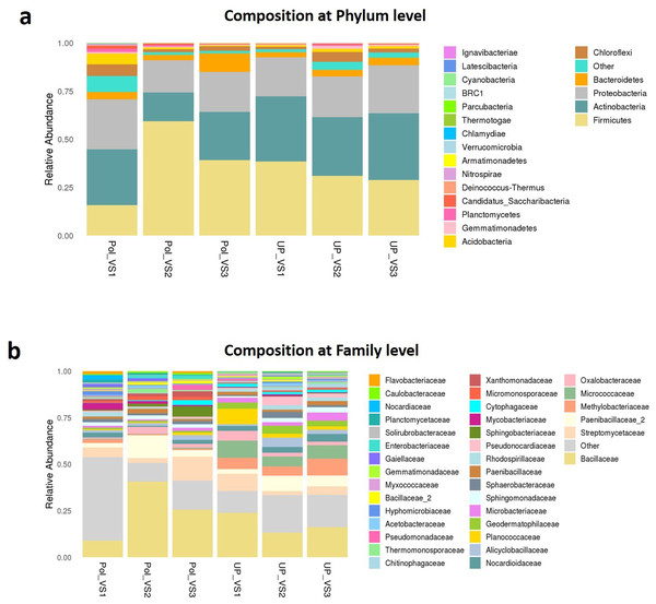 Bacterial community composition of polluted (PolVS) and unpolluted (UPVS) valley soils.