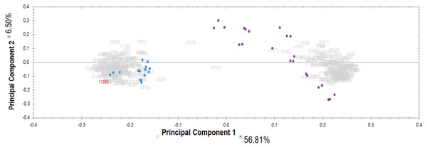Results of principal component analysis (PCA) by IgG groups: blue dots—samples of the control group; purple dots—samples of patients with schizophrenia.