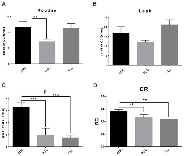 Effect of 7-hydroxy-3,4-dihydrocadalene on mitochondrial respiratory parameters: (A) routine, (B) leak, (C) OXPHOS associated respiration (P), and (D) control index (CI).