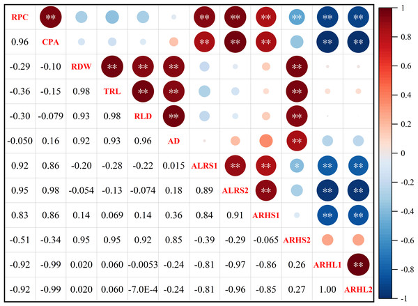 Spearman correlation coefficient and 95% confidence interval matrix of the potassium content and root morphological index.