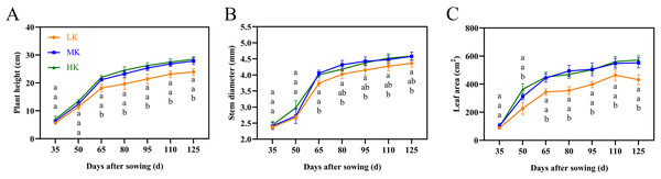 Effects of different potassium treatments on the aboveground morphology of cotton.