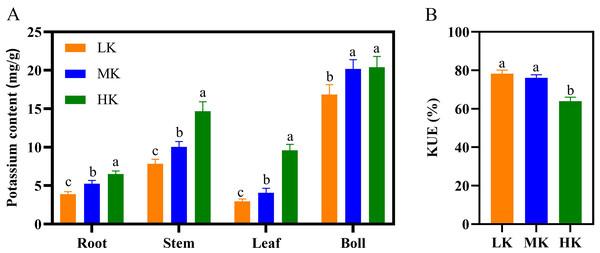 Effect of different potassium treatments on potassium absorption in cotton.