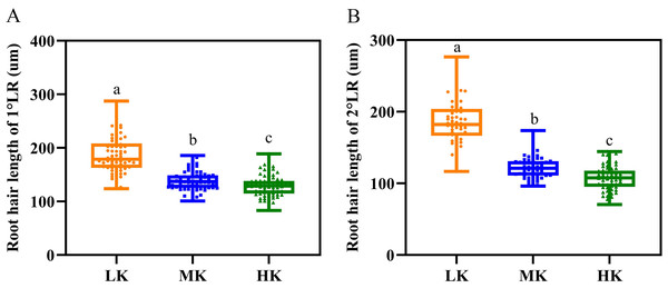 Root hair parameters at different potassium levels.