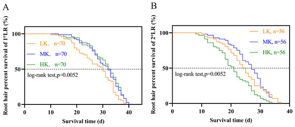 Survival analysis of roots hair under different potassium treatments.