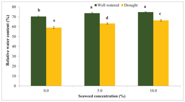 The influence of seaweed extracts on the leaf water content of soybean under well-watered and drought conditions. Bars indicate (±standard error).
