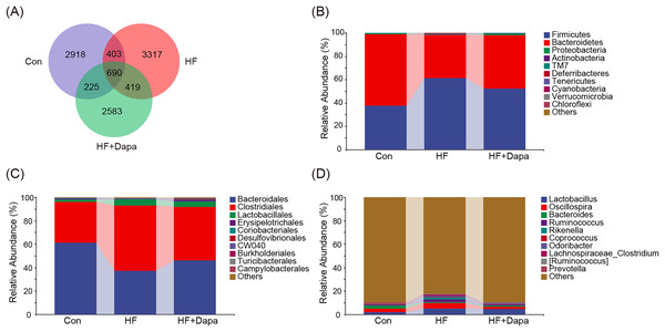 Community composition of fecal microbiota in dapagliflozin-treated HF (n = 6).