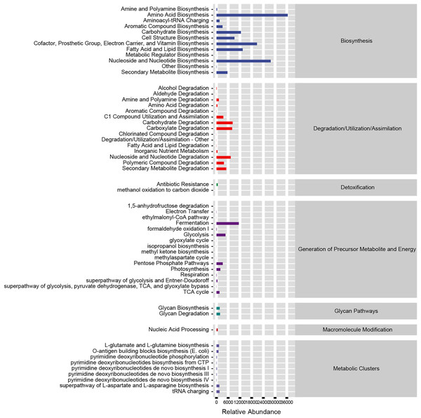 Functional prediction of altered gut microbiota.