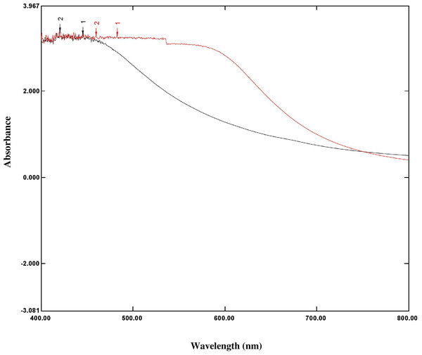 Overlay graph represented the UV spectrum absorbance ranges 200 nm–800 nm of O. sanctum extract (black line) and AgNPs of O. sanctum (red line).