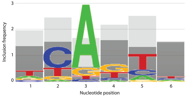 INR nucleotide position inclusion impacts MARZ64 model performance.