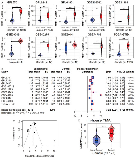 Differential expression levels of MMP12 between LUSC and its control tissues.