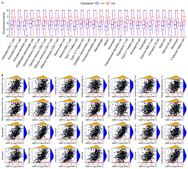 Based on LUSC samples from the TCGA-GTEx data set, the correlation between MMP12 and immune cell levels.