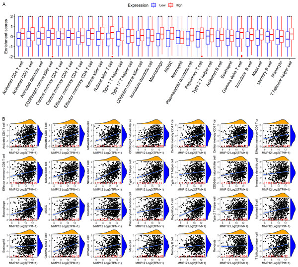 Based on LUSC samples from the GPL570 data set, the correlation between MMP12 and immune cell levels.