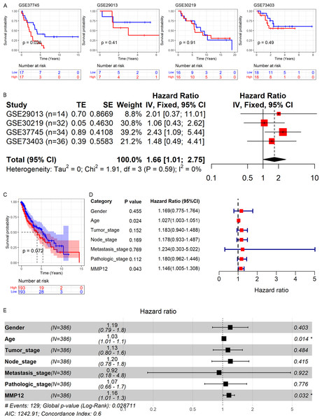 Correlation of MMP12 with the prognosis of LUSC patients.