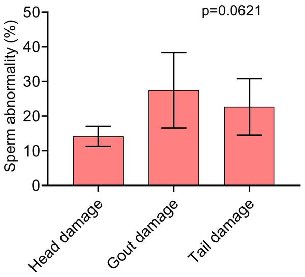 Pearson correlation between sperm morphology and kinetics variables with significant effect (p < 0.05).