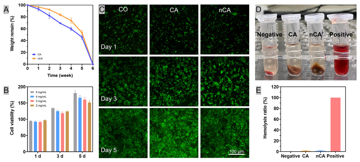 Alginate and alginate composites for biomedical applications