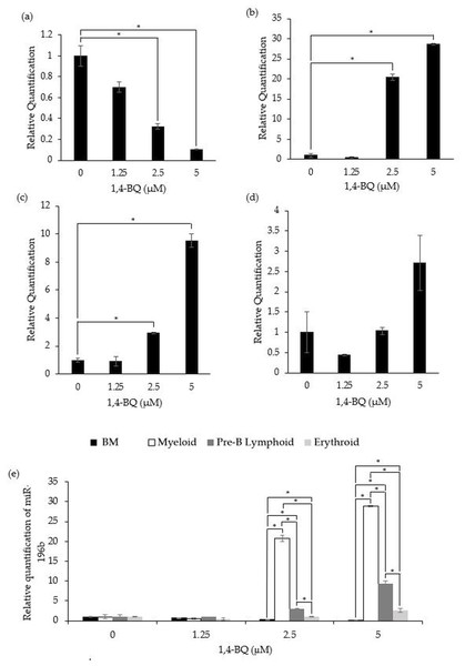 Effect of 1,4-BQ exposure on the level and comparative miR-196b expression in respective groups.