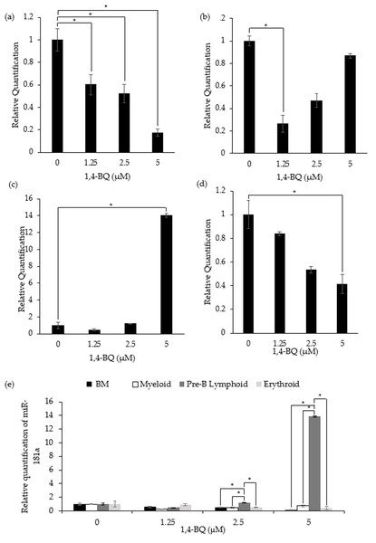 Effect of 1,4-BQ exposure on the level and comparative miR-181a expression in respective groups.