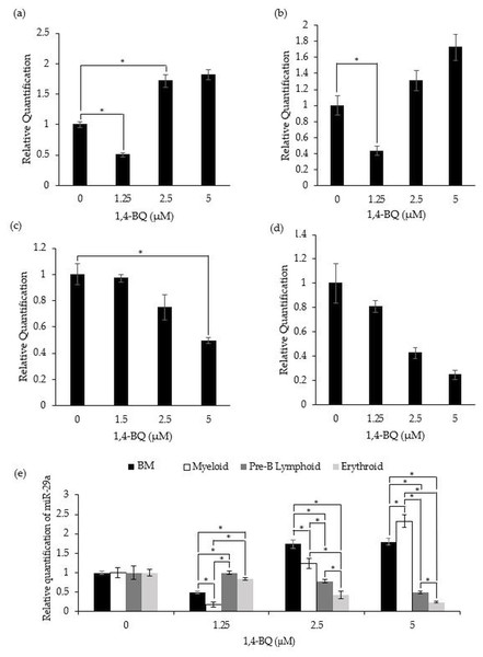 Effect of 1,4-BQ exposure on the level and comparative miR-29a expression in respective groups.