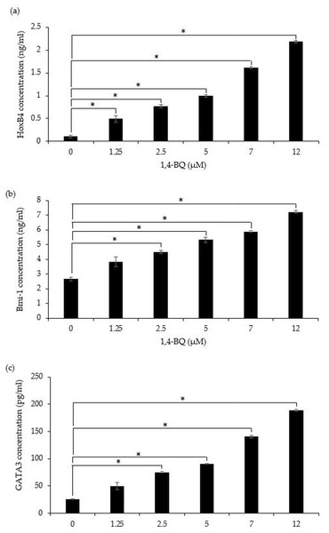 The transcription factors protein expression in 1,4-BQ-exposed BM cells.