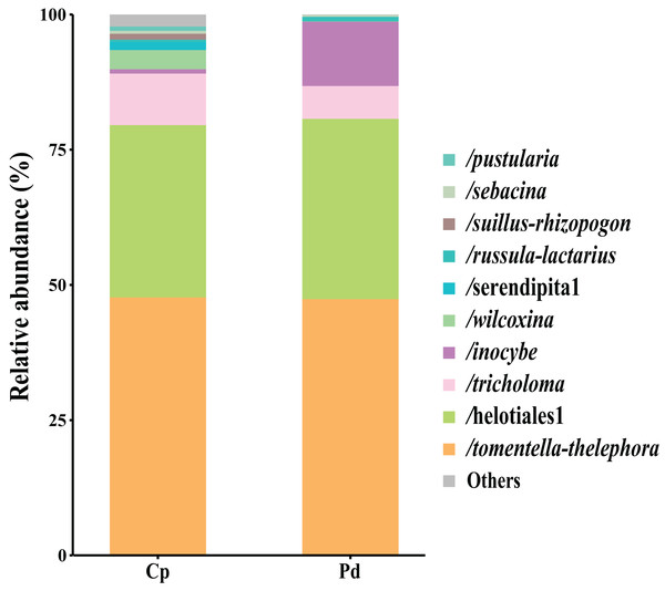 EM fungal lineages and their relative abundance.