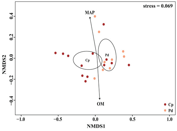 Non-metric multidimensional scaling (NMDS) of the EM fungal community composition (Sorensen distance).