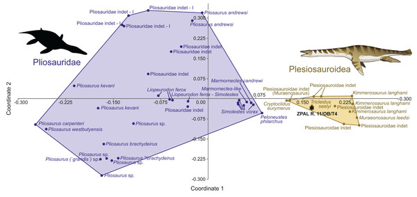 ZPAL R.11/OB/T4 (black star) morphospace occupation among marine reptiles of Jurassic, visualization of results of PCoA, segregation along principal coordinates 1 and 2.