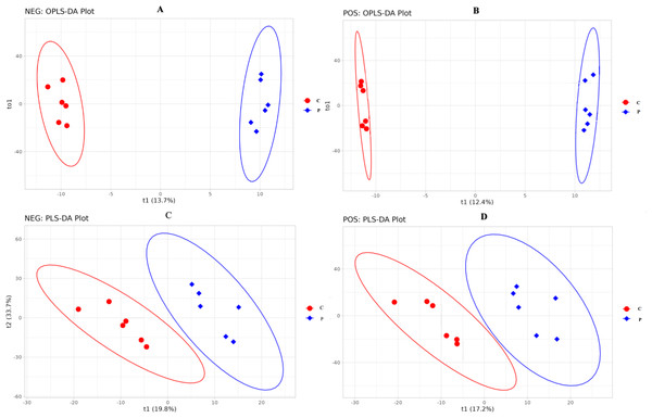 OPLS-DA and PLS-DA score plot of C and P groups (P vs C).