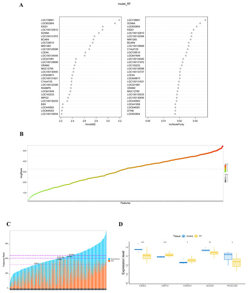 Identification and validation of key genes.