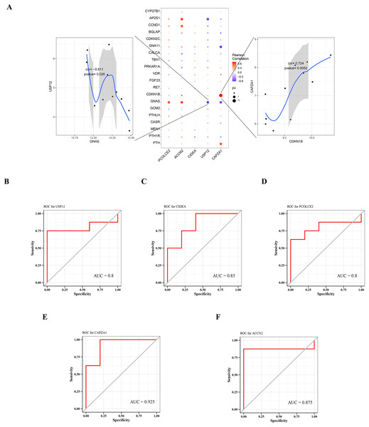 Relationship between key genes and parathyroid-related disease-causing genes, and predictive performance of key genes.