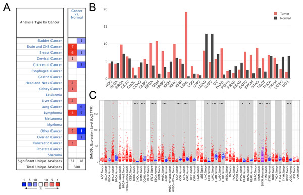 The expression of SAMD9L in the cancerous tissues and in adjacent normal tissues.