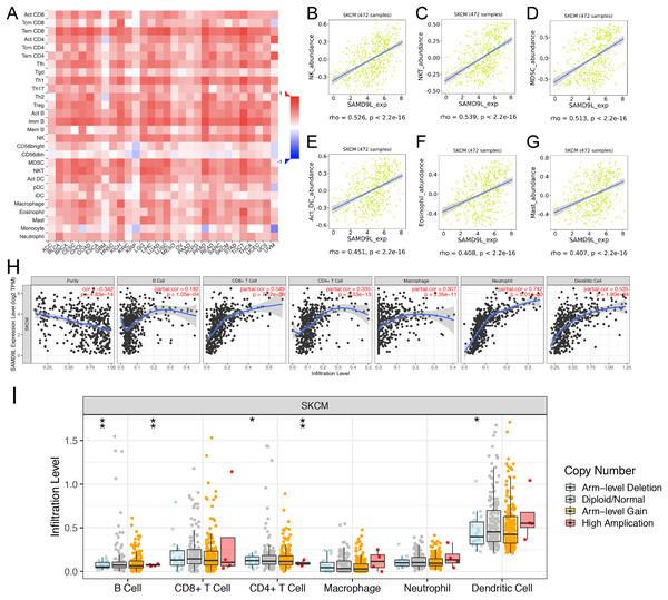 Correlations between expression of SAMD9L and immune infiltration level.