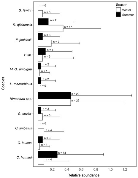 Relative abundance (±SD) of each elasmobranch species found during winter and summer.