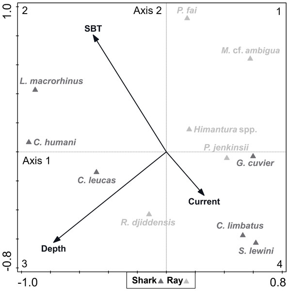 Canonical correspondence analysis (CCA) biplot representing the effect of environmental variables—current strength (current), depth and sea bottom temperature (SBT)—on species composition.