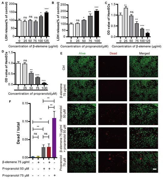 Cytotoxic effect of propranolol and β-elemene on HemECs.