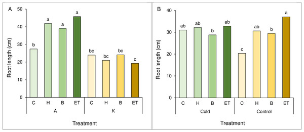 Comparison of the average interaction (cultivar * pretreatment) (A) and (cold * pretreatment) (B) on maize root length.