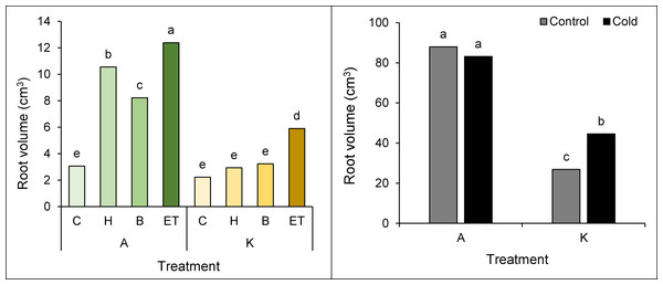 Comparison of the average interaction (cultivar* pretreatment) (A) and (cold * pretreatment) (B) on the maize root volume.