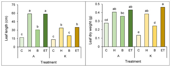 Comparison of the average interaction (cultivar * pretreatment) on leaf length (A) and leaf dry weight (B) of maize.