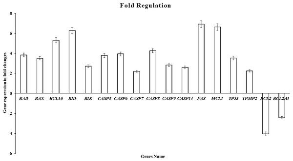 The cell cycle gene expression profile in MDA-MB-231 cells.
