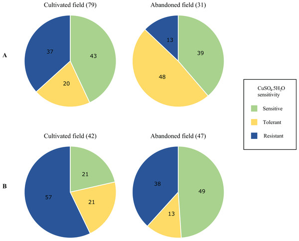Proportional differences in copper sensitivity of phylloplane (A) and soil (B) environmental bacterial isolates from a cultivated and an abandoned field in the Aranguez agricultural district.