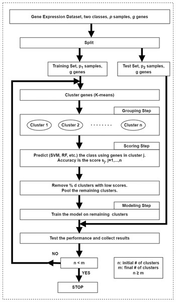 The workflow of the SVM-RCE algorithm.