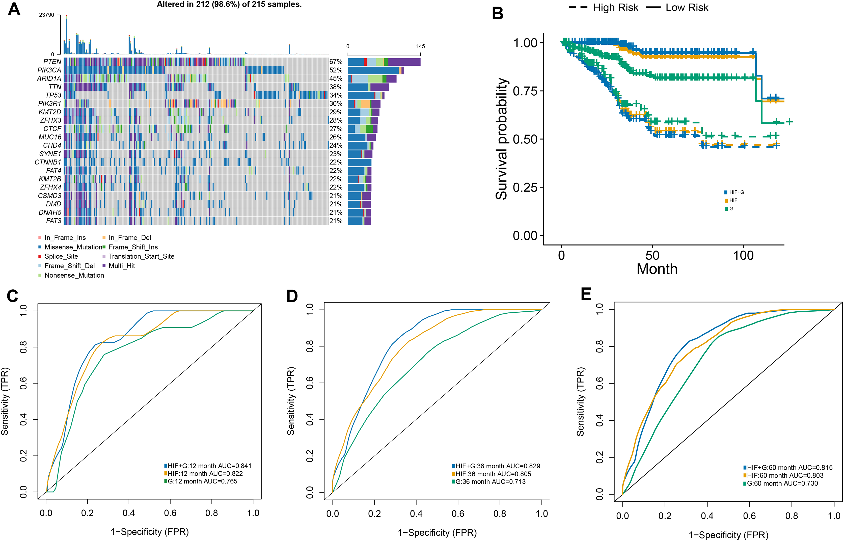 PDF) Multiomics and machine learning in lung cancer prognosis