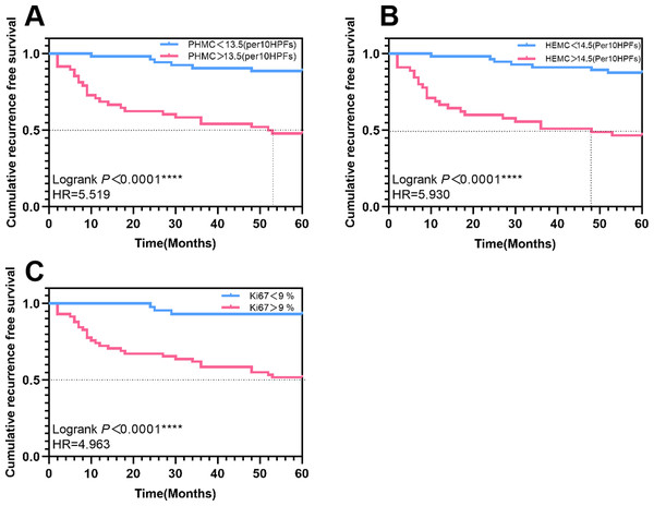 The Kaplan–Meier survival curves of patients with exophytic papillary urothelial neoplasms with different expressions of PHMC, HEMC and Ki67. Lines represent the median recurrence-free survival.