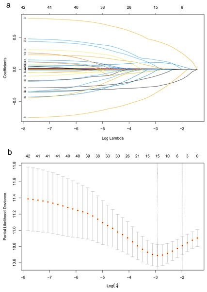 The LASSO regression algorithm was used for screening the predictors.