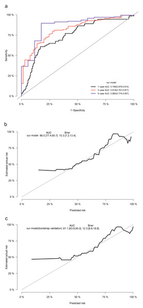 The ROC, calibration curves, and Brier scores for the prediction model and internal validation.