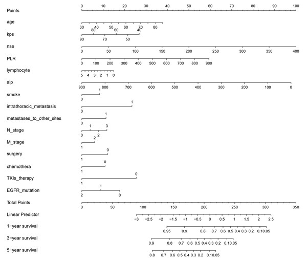 Constructed nomogram for predicting 1-, 3-, and 5-year OS in NSCLC patients diagnosed with BM based on 15 predictors.