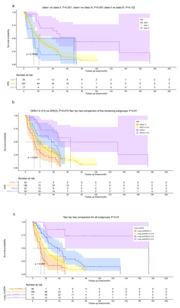 Kaplan–Meier survival curve analysis for different models.