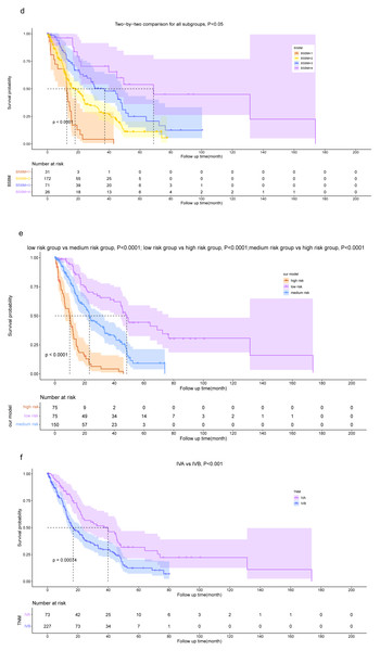 Kaplan–Meier survival curve analysis for diûerent models.